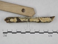 登錄號:F0023886藏品圖，第4張