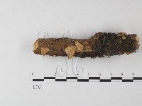 登錄號:F0023887藏品圖，第1張
