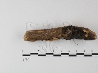 登錄號:F0023887藏品圖，第3張