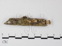 登錄號:F0023888藏品圖，第1張