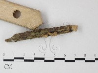 登錄號:F0023888藏品圖，第3張