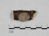 登錄號:F0023891藏品圖，第1張