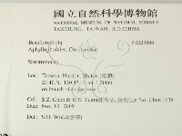 登錄號:F0023894藏品圖，第2張