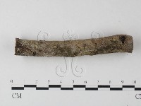 登錄號:F0023894藏品圖，第3張