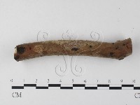 登錄號:F0023894藏品圖，第4張