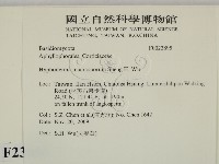 登錄號:F0023895藏品圖，第2張