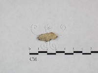 登錄號:F0023895藏品圖，第1張