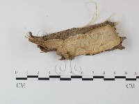 登錄號:F0023896藏品圖，第1張