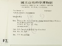 銳孔菌屬藏品圖，第2張