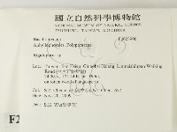 硬孔菌屬藏品圖，第2張