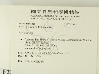 多孔菌屬藏品圖，第2張