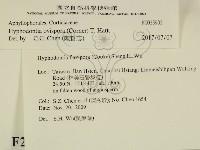 登錄號:F0023902藏品圖，第2張