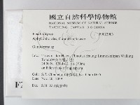 靈芝屬藏品圖，第2張