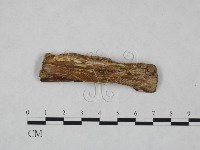 登錄號:F0023904藏品圖，第1張