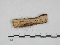 登錄號:F0023904藏品圖，第3張