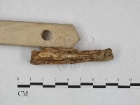 登錄號:F0023904藏品圖，第4張