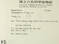 多孔菌屬藏品圖，第2張