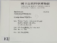 登錄號:F0023908藏品圖，第2張