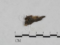 登錄號:F0023908藏品圖，第1張
