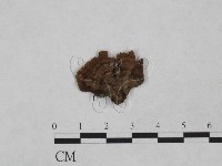 登錄號:F0023909藏品圖，第3張