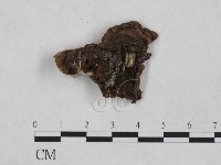 登錄號:F0023910藏品圖，第3張
