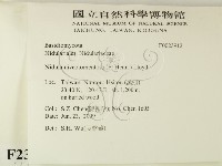 登錄號:F0023912藏品圖，第2張