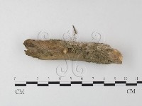 登錄號:F0023912藏品圖，第1張