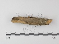 登錄號:F0023912藏品圖，第3張