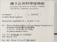 登錄號:F0023915藏品圖，第2張