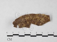 登錄號:F0023915藏品圖，第1張
