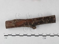 登錄號:F0023917藏品圖，第1張
