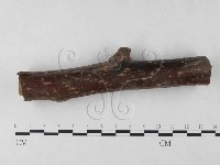 登錄號:F0023917藏品圖，第3張