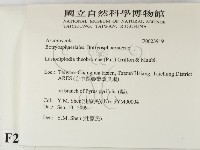 登錄號:F0023919藏品圖，第2張