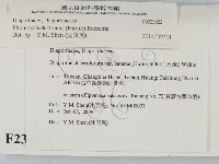 登錄號:F0023922藏品圖，第2張