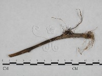 登錄號:F0023922藏品圖，第3張