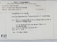 登錄號:F0023924藏品圖，第2張