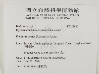 有害木層孔菌藏品圖，第2張