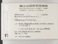 有害木層孔菌藏品圖，第2張