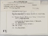 登錄號:F0023928藏品圖，第2張