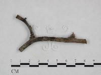 登錄號:F0023928藏品圖，第1張