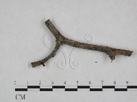 登錄號:F0023928藏品圖，第3張