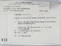 登錄號:F0023929藏品圖，第2張