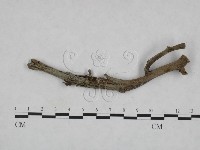 登錄號:F0023930藏品圖，第1張