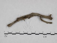 登錄號:F0023930藏品圖，第3張