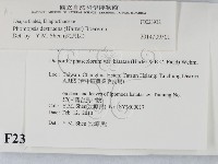 登錄號:F0023932藏品圖，第2張