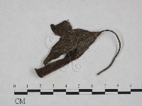 登錄號:F0023932藏品圖，第3張