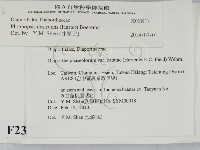 登錄號:F0023933藏品圖，第2張