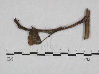 登錄號:F0023933藏品圖，第1張