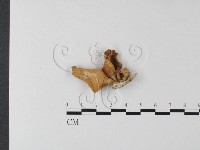 登錄號:F0023934藏品圖，第3張