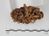 登錄號:F0023937藏品圖，第3張